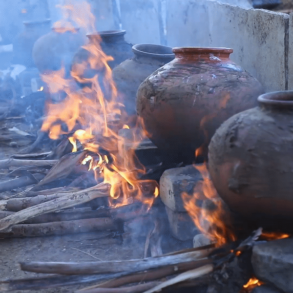 Brahmras Natural farm